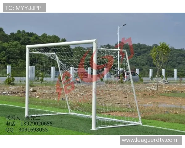 佛山体育器材行业发展现状与未来趋势分析探讨