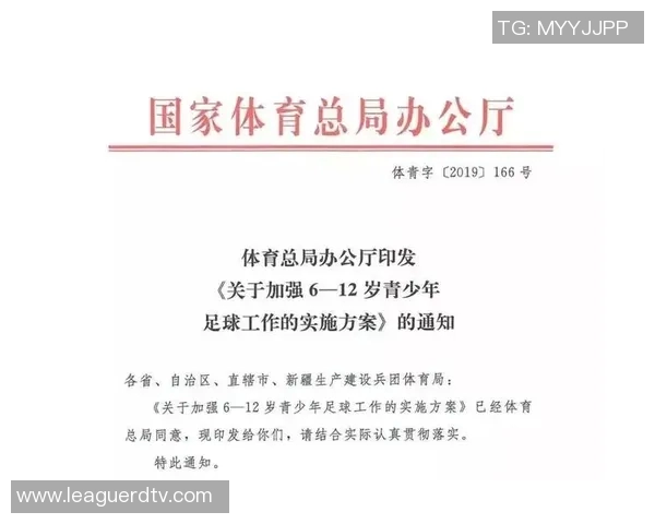 幼儿体育器材器械的选择与使用指南助力孩子健康成长与全面发展